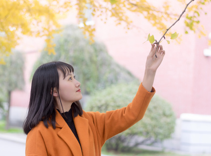 菲律宾达沃香蕉农场 达沃香蕉产量参考